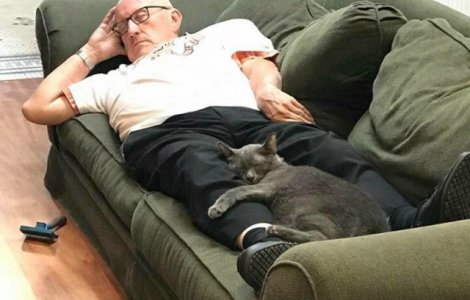 Un batran viziteaza adapostul unor pisici: imagini induiosatoare cu acesta si felinele
