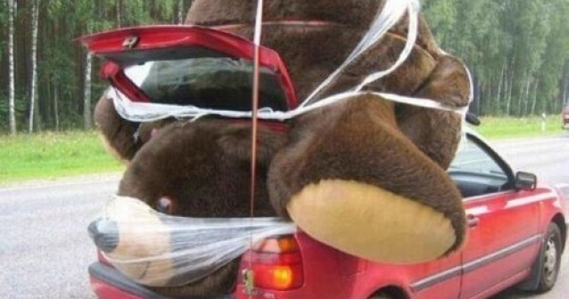  Top  15+ imagini amuzante cu oameni surprinsi in trafic, in situatii ridicole