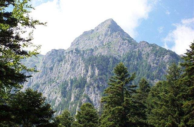 Un tanar a murit la spital, dupa ce nu a mai facut fata frigului de pe munte