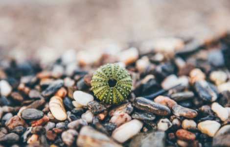 Indemn catre cei care viziteaza Skiathos: Nu luati pietre ca amintire!