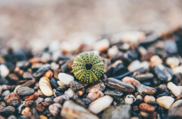 Indemn catre turistii care viziteaza Skiathos: "Faceti fotografii, nu luati pietre ca amintire!"