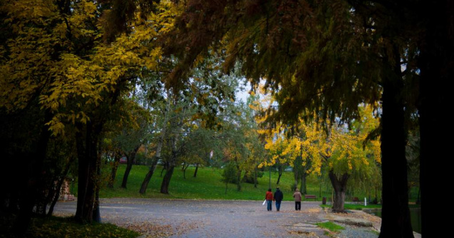 Capitala creste verde: Sute de copaci au fost plantati in parcuri