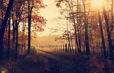 Octombrie vine cu vreme insorita, anunta meteorologii