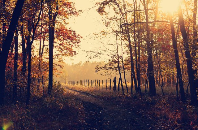 Octombrie vine cu vreme insorita, anunta meteorologii