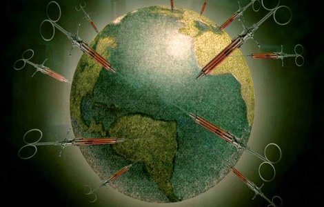 Raport alarmant: Etnobotanicele fac ravagii printre tinerii romani