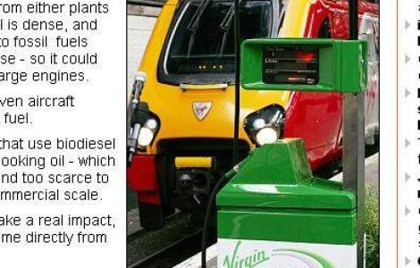 Bacteria E. coli ar putea transforma plantele in combustibil?