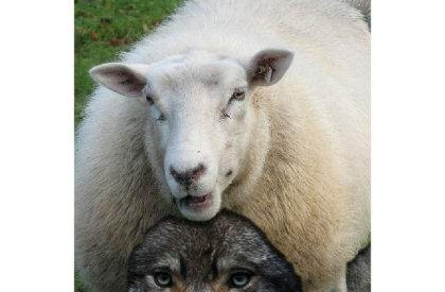 Lupul, paznic la oi? FMI se implica tot mai mult in "viata" Europei