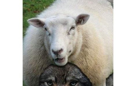 Lupul, paznic la oi? FMI se implica tot mai mult in "viata" Europei