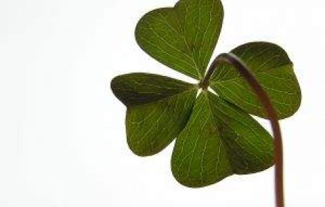 Marele castigator la Loto, baricadat in casa