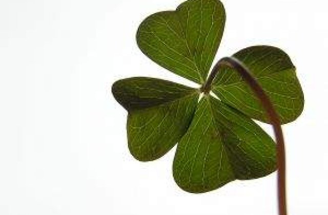 Marele castigator la Loto, baricadat in casa