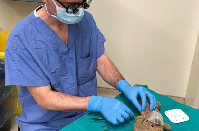 Motivul pentru care un neurochirurg "opereaza" un ursulet de plus
