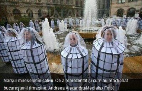 Marsul mireselor in colivii