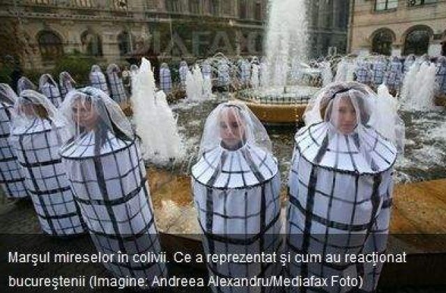 Marsul mireselor in colivii