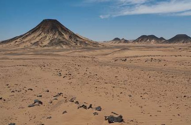 Egipt: Lasati sa moara in desert, dupa ce li s-au recoltat organele
