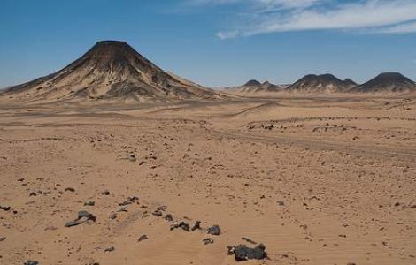 Egipt: Lasati sa moara in desert, dupa ce li s-au recoltat organele