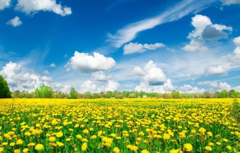 (P) O noua solutie pentru tratarea depresiei, panicii, anxietatii si stresului