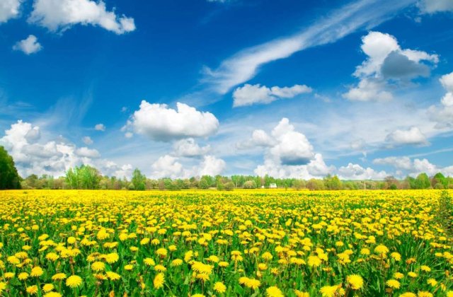 (P) O noua solutie pentru tratarea depresiei, panicii, anxietatii si stresului