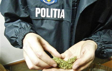 IGPR: Zeci de kilograme de droguri si peste 350.000 de euro, confiscate in urma perchezitiilor in ultimele doua saptamani