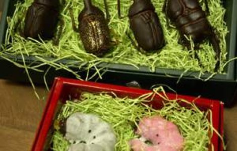 Carabusi si larve de ciocolata, cadou de Valentine's Day