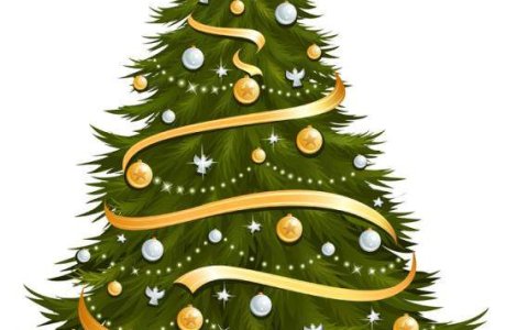 Imparte bucurie impreuna cu Magazinul de Brazi