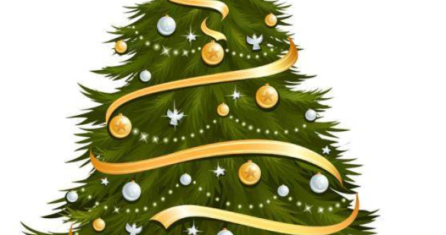 Imparte bucurie impreuna cu Magazinul de Brazi