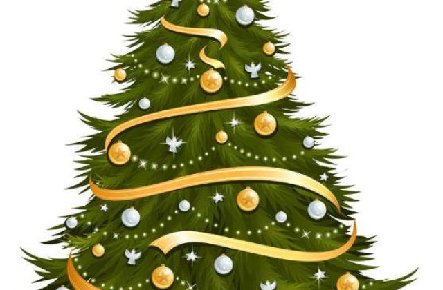 Imparte bucurie impreuna cu Magazinul de Brazi