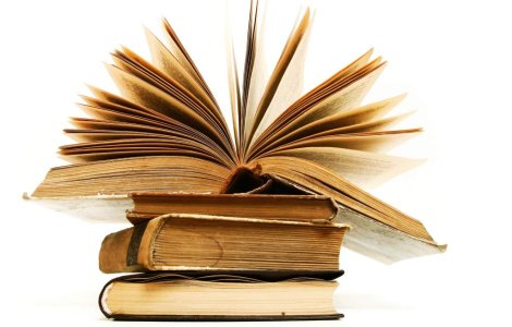 Occupy Wall Street: Mii de carti, distruse de politisti