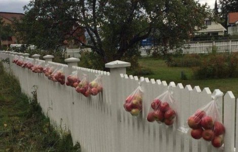  Top  Bunatatea nu costa nimic. 10 imagini care arata ca faptele bune raman esenta societatii in care traim