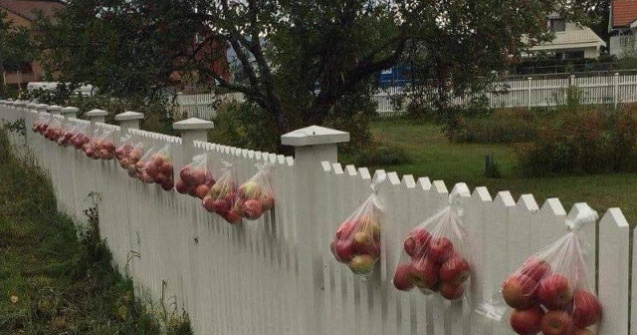  Top  Bunatatea nu costa nimic. 10 imagini care arata ca faptele bune raman esenta societatii in care traim