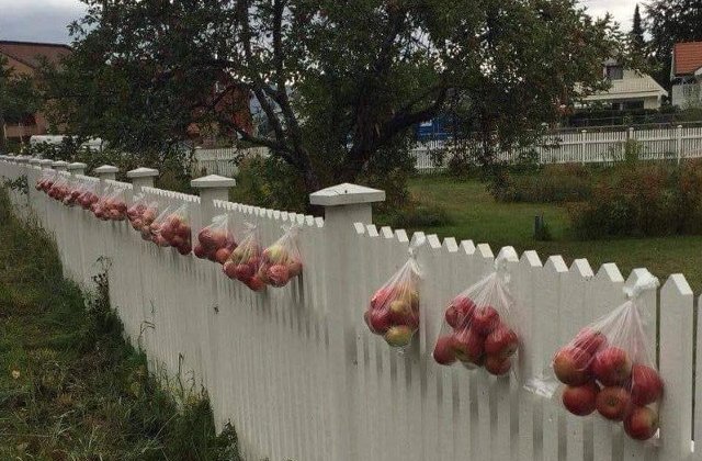 Bunatatea nu costa nimic. 10 imagini care arata ca faptele bune raman esenta societatii in care traim