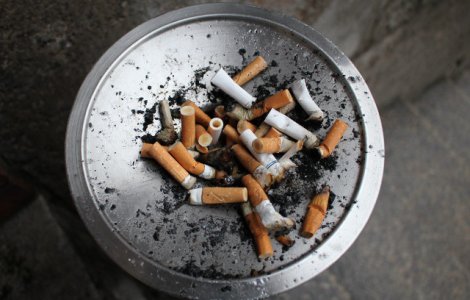 Austria nu mai vrea sa fie "scrumiera Europei"