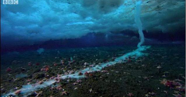  Video  Fenomen rar: Sabia de gheata fatala din Antarctica