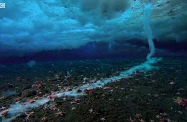[VIDEO] Fenomen rar: Sabia de gheata fatala din Antarctica