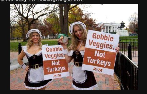  Video  PETA ataca Ziua Recunostintei