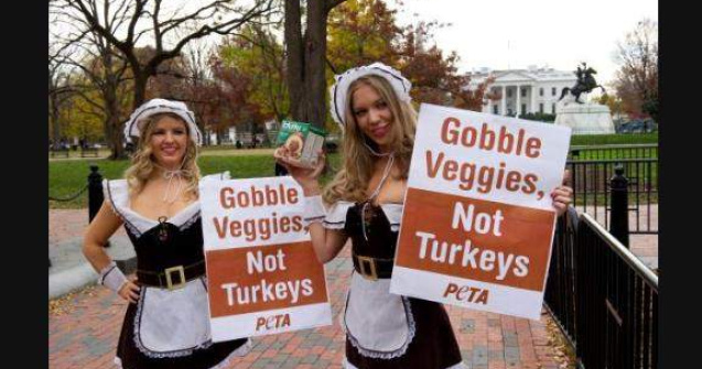  Video  PETA ataca Ziua Recunostintei