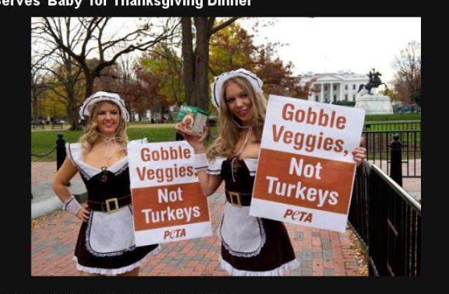 [VIDEO] PETA ataca Ziua Recunostintei