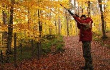 Ratele si vanatorii: Top 10 cele mai mari domenii de vanatoare din tara