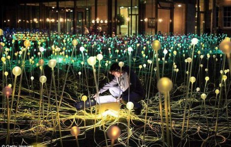  Foto  Artistul care a "luminat" Craciunul