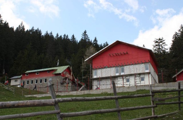 Vedete de Hollywood originare din Romania