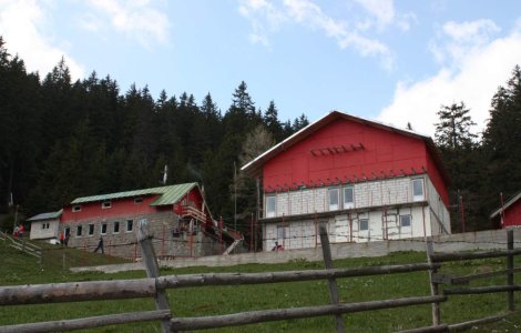 Vedete de Hollywood originare din Romania