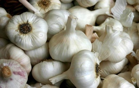 Traditii si obiceiuri de Sfantul Andrei