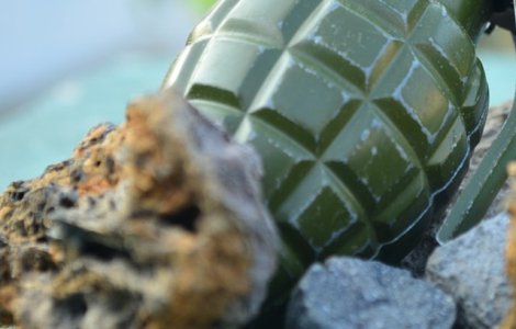 Un copil a descoperit o grenada din Al Doilea Razboi Mondial si a adus-o acasa