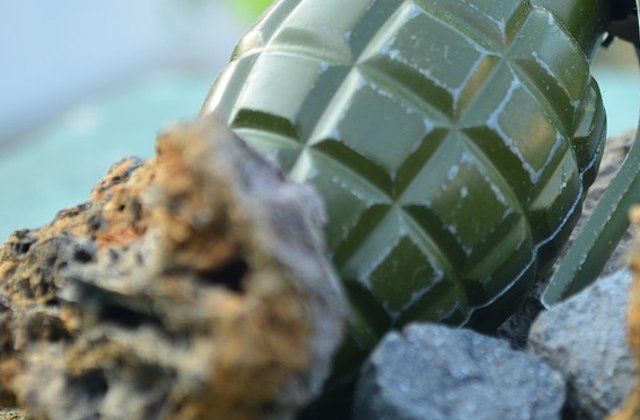 Un copil a descoperit o grenada din Al Doilea Razboi Mondial si a adus-o acasa