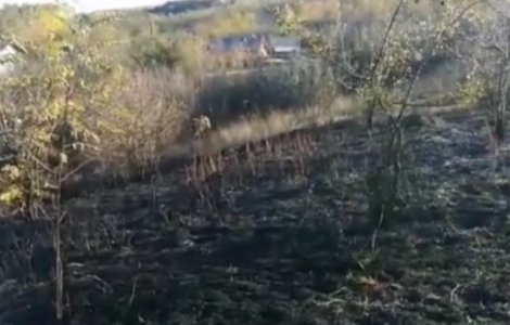 Un barbat a fost gasit decedat pe campul pe care il incendiase
