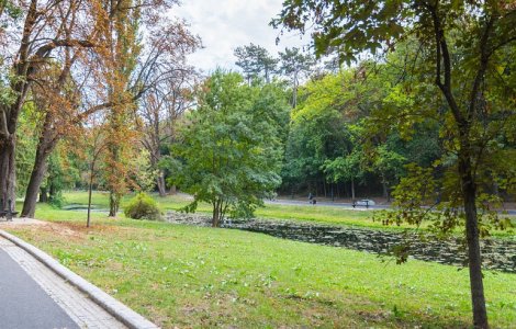 Propunerile USR de modificare a legii spatiilor verzi, adoptate