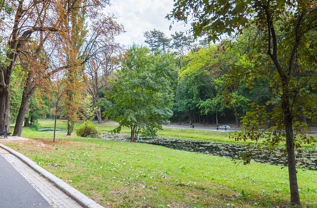 Propunerile USR de modificare a legii spatiilor verzi, adoptate