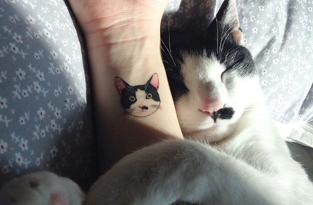 20+ tatuaje minimaliste cu pisici pe care orice iubitor de animale le va adora