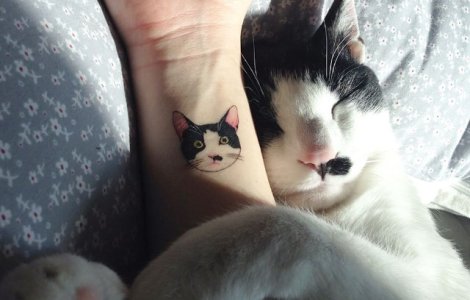  Top  20+ tatuaje minimaliste cu pisici pe care orice iubitor de animale le va adora
