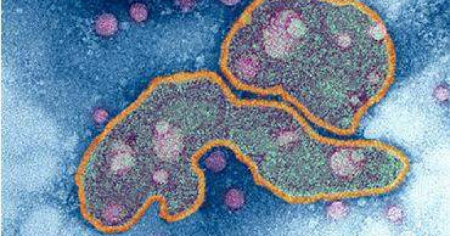 A fost creat un virus mortal