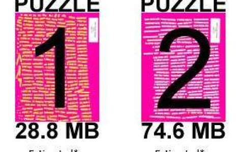 Stii sa rezolvi puzzle-uri? Afla cum poti sa castigi 50.000 dolari